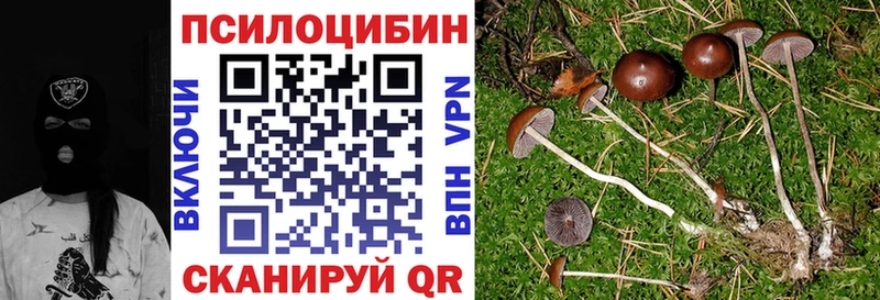 купить наркотик  Иваново  Псилоцибиновые грибы ЛСД 
